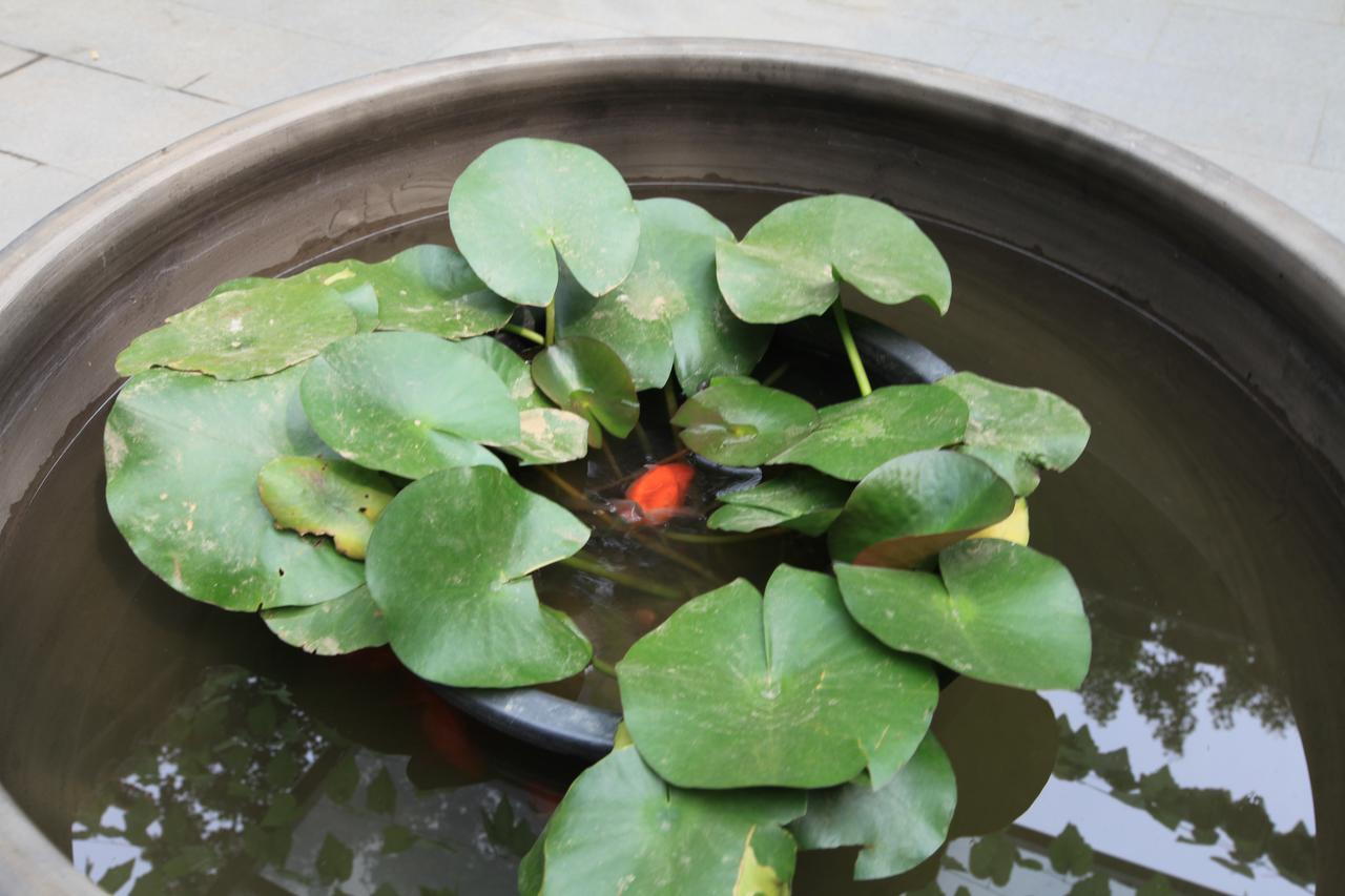 Zhantan Courtyard Hotel Peking Kültér fotó