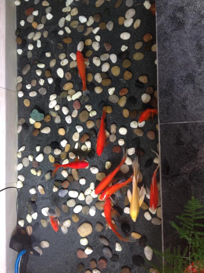 Zhantan Courtyard Hotel Peking Kültér fotó